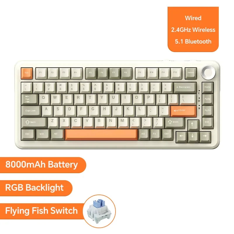 AJAZZ AK820 Mechanische Gaming Tastatur – Kabelgebunden, Hot-Swap, RGB Beleuchtung